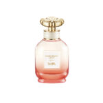 COACH  COACH DREAMS SUNSET edp vapo 40 ml