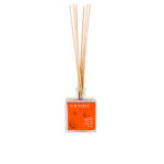 ECO HAPPY  CINNAMON-ORANGE mikado air freshener 95 ml