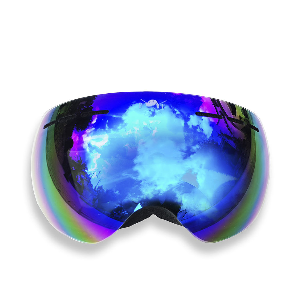 BROWN LABRADOR  S PRO set 2 pz