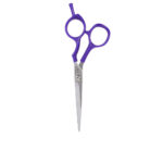 STEINHART  STEINHART ACADEMY OFFSET scissors #5½"-purple 1 u
