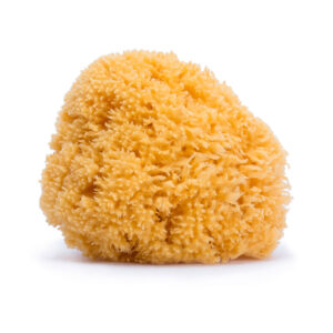 SUAVINEX Natural Sponge for Bath