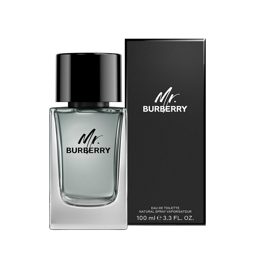 BURBERRY  MR BURBERRY eau de toilette spray 100 ml